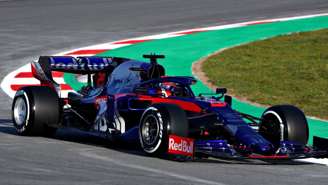 toro_rosso_1.jpg