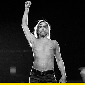 iggy_pop_2.png