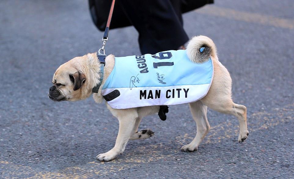 manchester_city-12.jpg