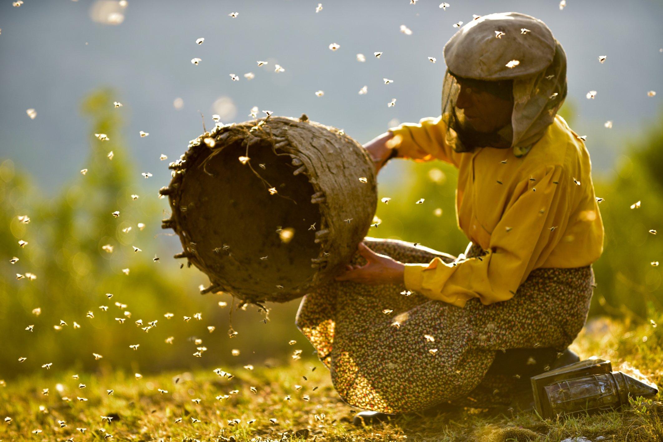 honeyland_filmstill01_mainmotive_photo_courtesy_ljubomir_stefanov_honeyland.jpg