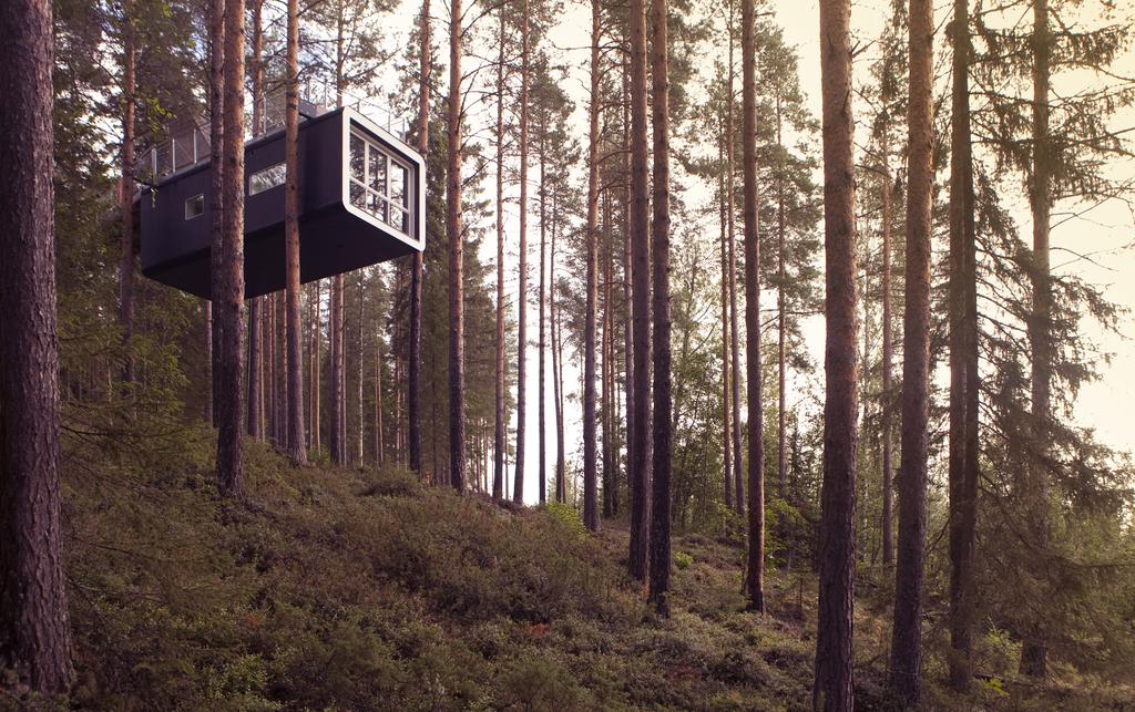 Treehotel 