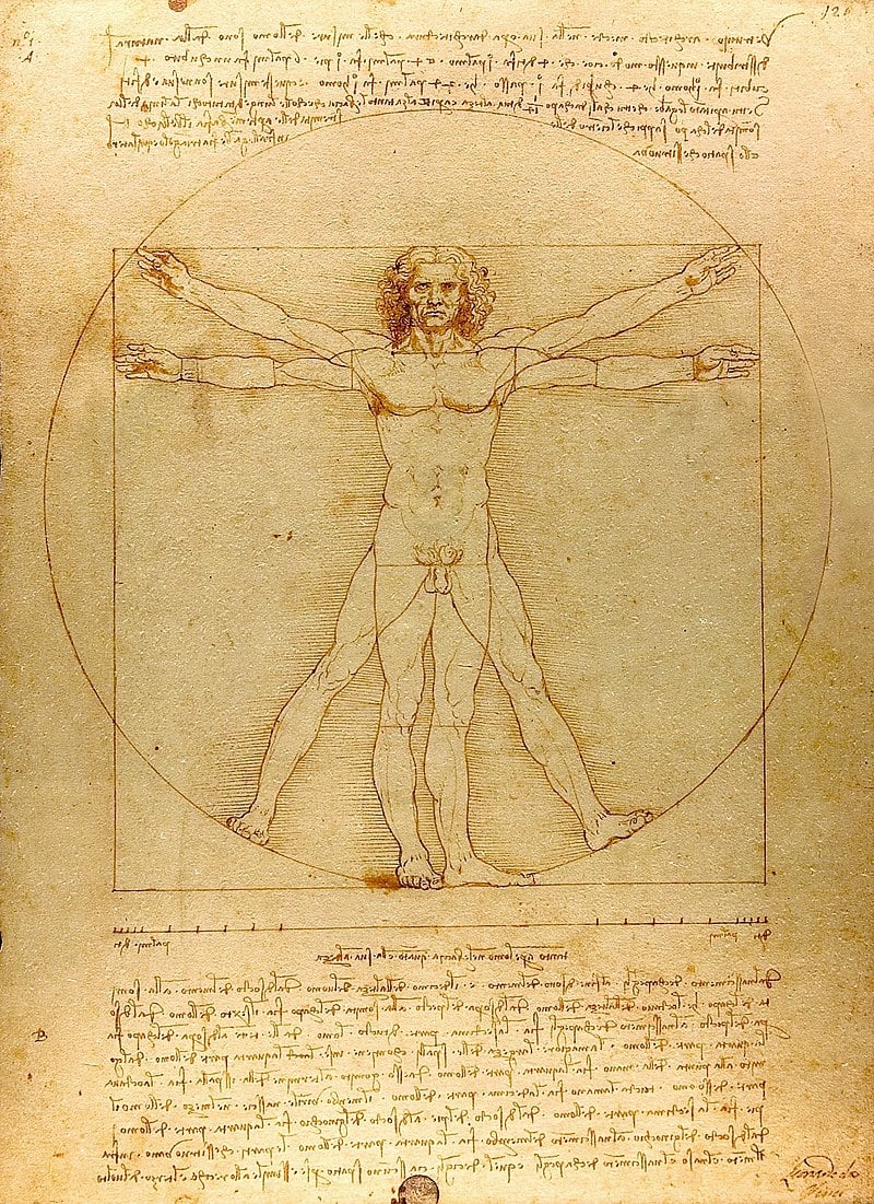 da_vinci_vitruve_luc_viatour_cropped.jpg