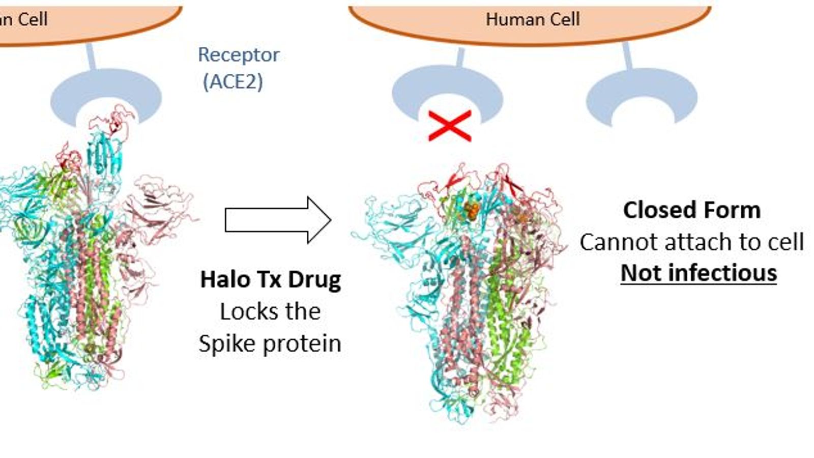 skynews-halo-drug_5340264.jpg