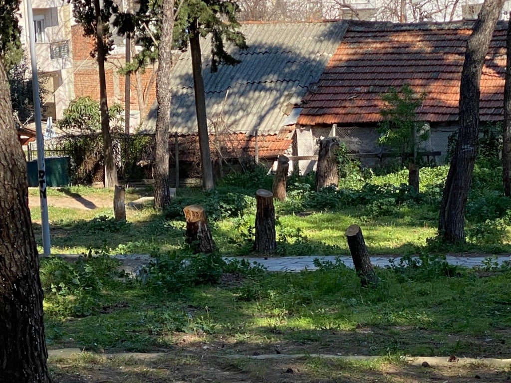 Στο πάρκο της Νέας Ελβετίας στη Θεσσαλονίκη