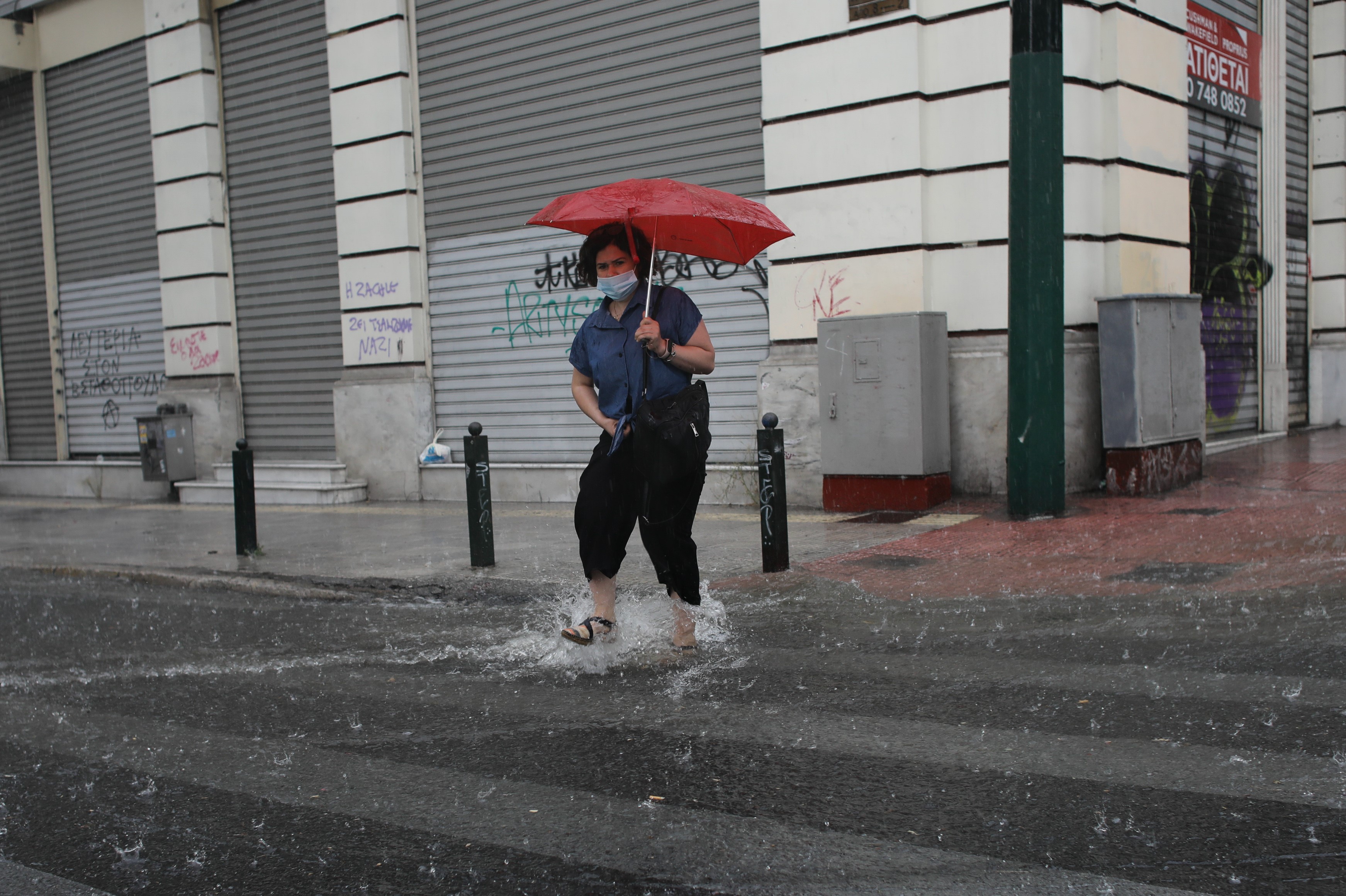 3194853.jpg 3194853.jpg