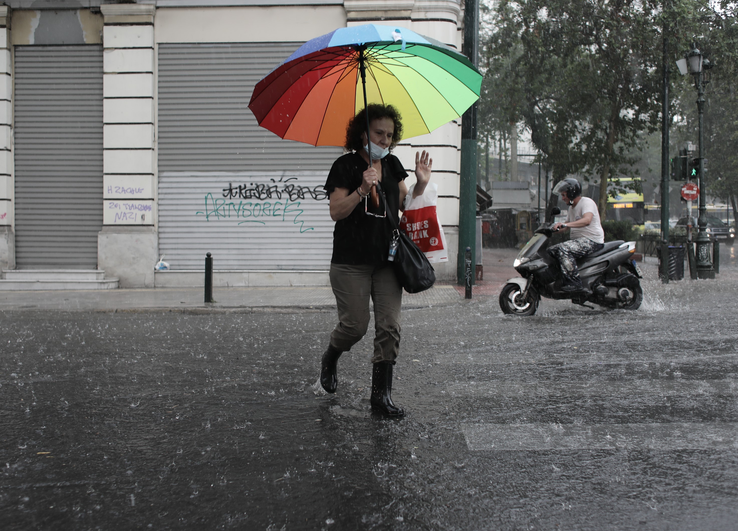 3194856.jpg 3194856.jpg