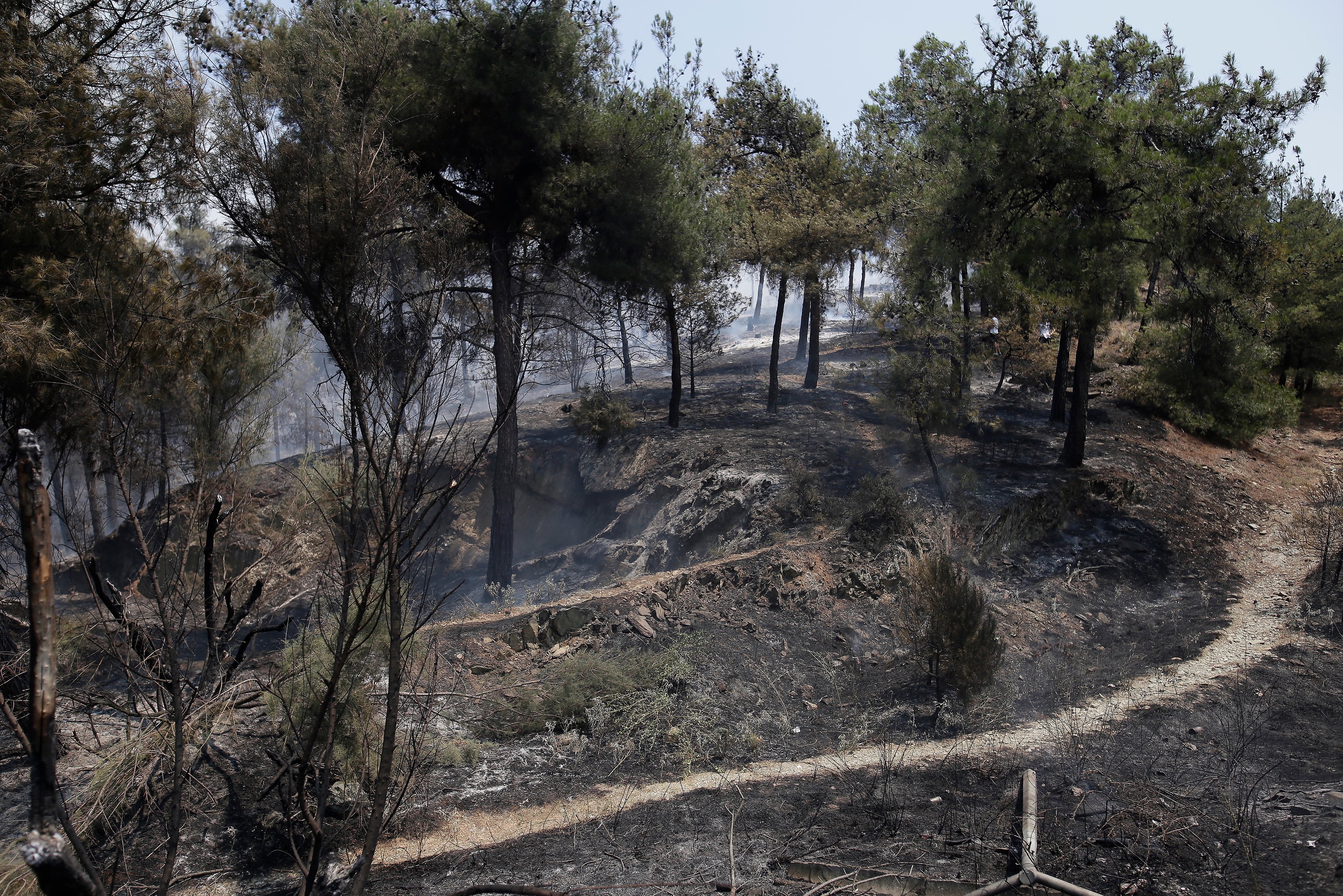 Σε ύφεαη η φωτιά στο Σέιχ Σου