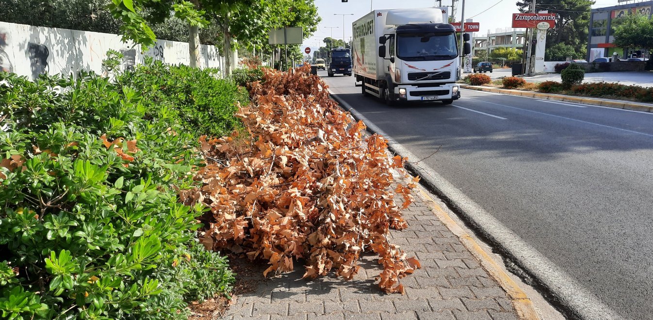 Μάτι