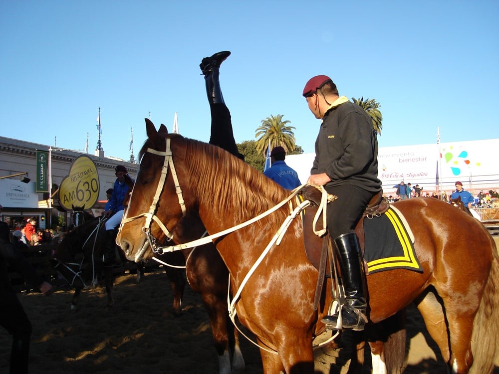 thumbnail_buenos.aires_.fiesta.agriculture.02.jpg