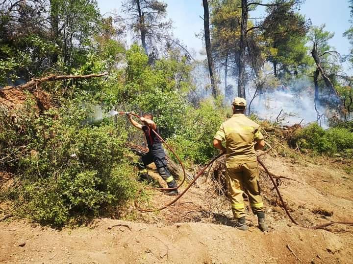 Φωτιά Εύβοια-Ρουμάνοι πυροσβέστες στο ethnos.gr: Θα μείνουμε μέχρι να σβήσει και η τελευταία φλόγα