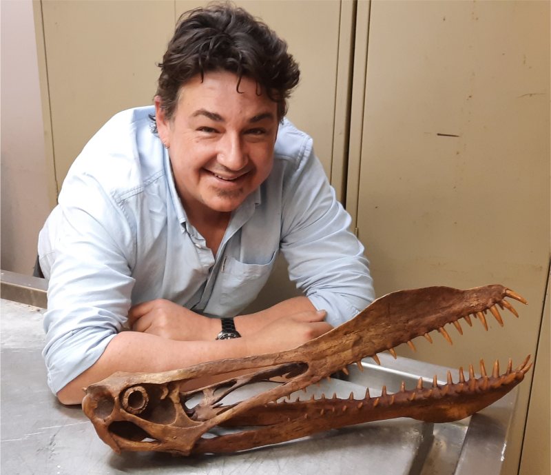 dinosaur-skull-released-university-of-queensland-media.jpg