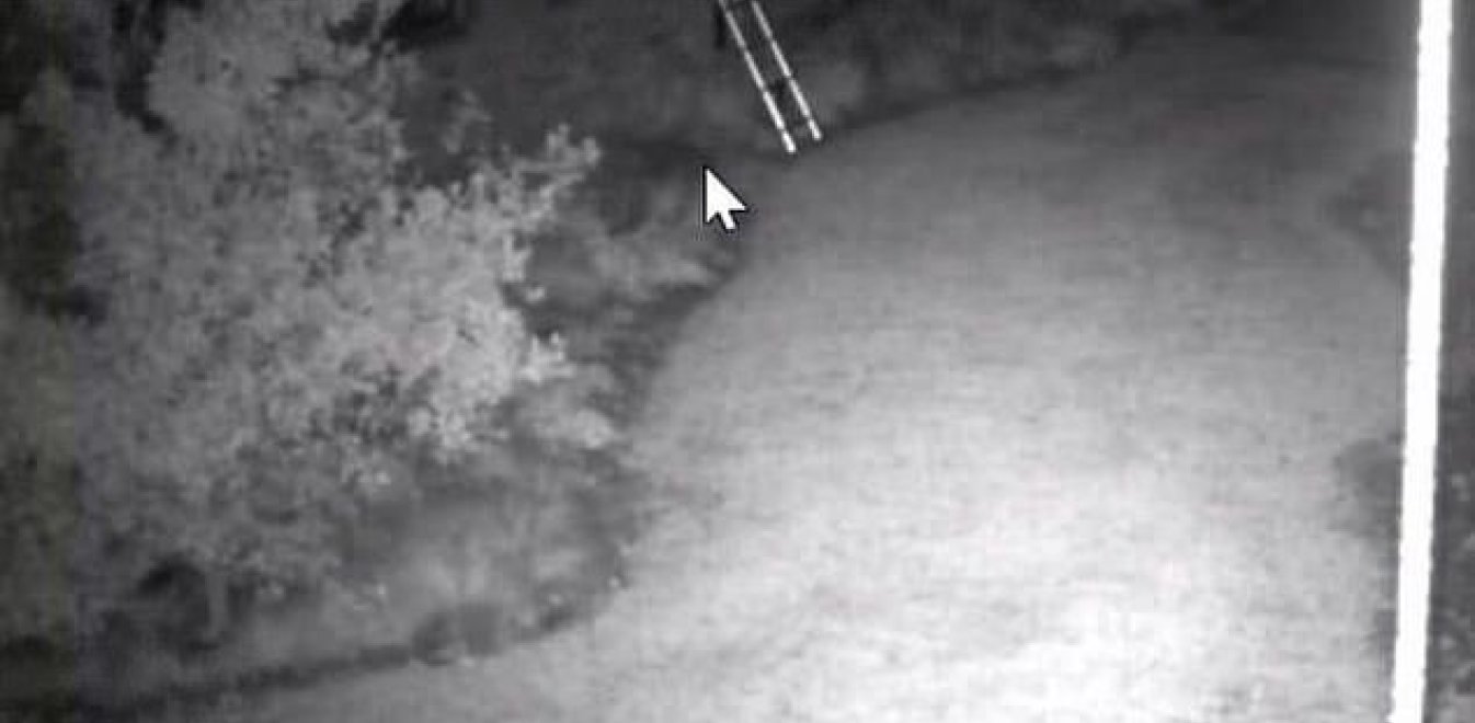 Ντέιβιντ Μπέκαμ, Βικτόρια Μπέκαμ