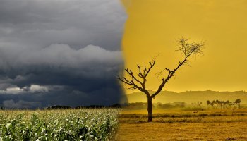 βροχή- καύσωνας