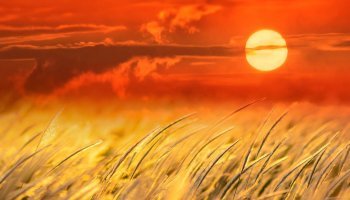 καύσωνας αέρας