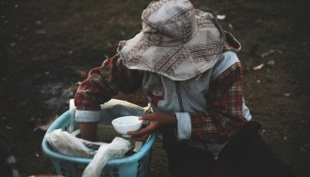 Ψάχνοντας για φαγητό