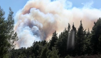 φωτιά, Χαλκιδική