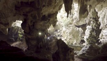 Η αρχαιότερη σπηλαιογραφία