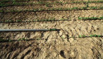 ερημοποίηση