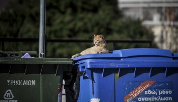 Μήλον της έριδος η ανακύκλωση για ΥΠΠΕΡ και ΚΕΔΕ