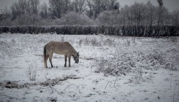 καιρός, Ωκεανίς