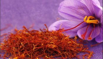 κρόκος Κοζάνης