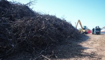 οικόπεδο στο Μάτι 