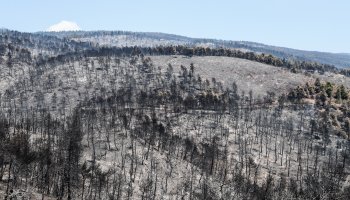 Φωτιά στην Εύβοια
