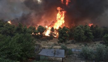 Η φωτιά στο χωριό Μακρυμάλλη Ευβοίας