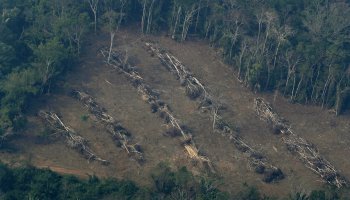 φωτιά, Αμαζόνιος