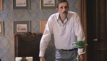 Άγριες Μέλισσες