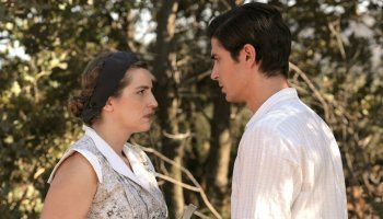 Άγριες μέλισσες