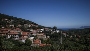 δασικοί χάρτες