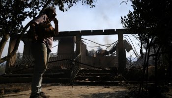 φωτιά, Εύβοια