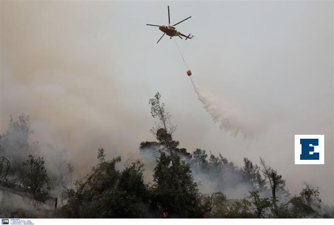 Φωτιά στην Ηλεία: Ενισχύθηκαν οι πυροσβεστικές δυνάμεις - Επιχειρούν τα εναέρια από το ξημέρωμα